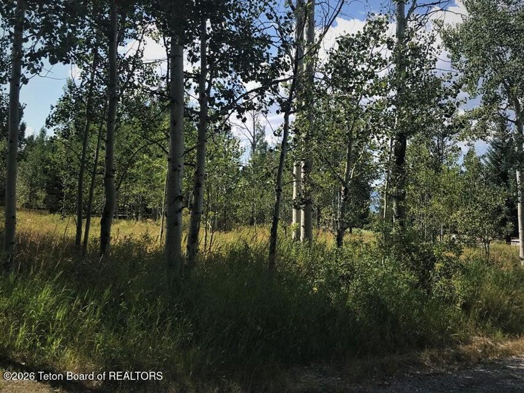 PLAT 9 LOT 87 GREEN CANYON DR, Star Valley Ranch, WY 83127 photo 2