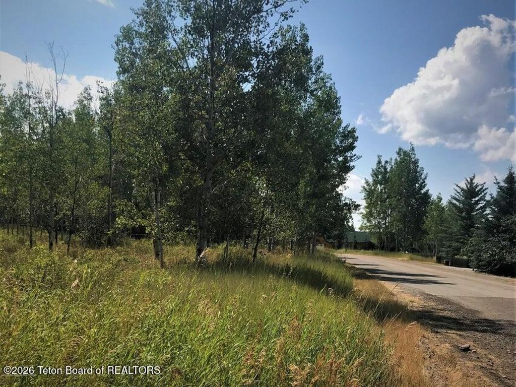 PLAT 9 LOT 87 GREEN CANYON DR, Star Valley Ranch, WY 83127 photo 3