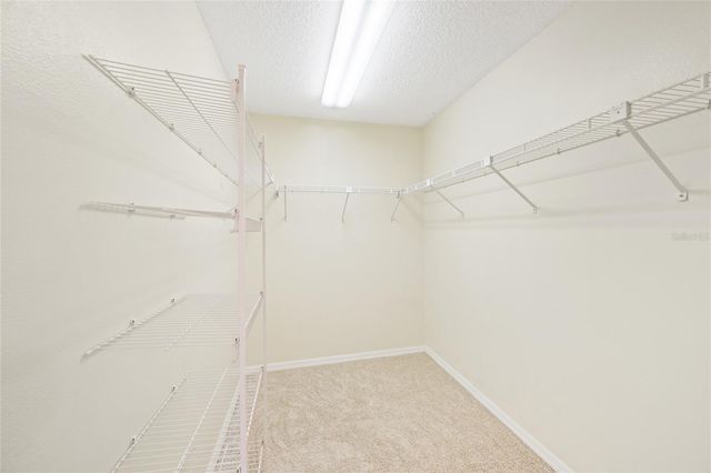 2419 MAYWOOD STREET, Eustis, FL 32726