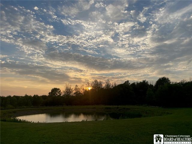 2628 Meadows Road, Arkwright, NY 14718