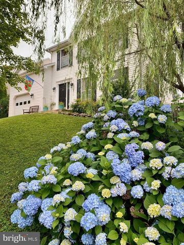241 BREEZEWOOD DR, Warrenton, VA 20186