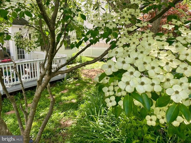 241 BREEZEWOOD DR, Warrenton, VA 20186