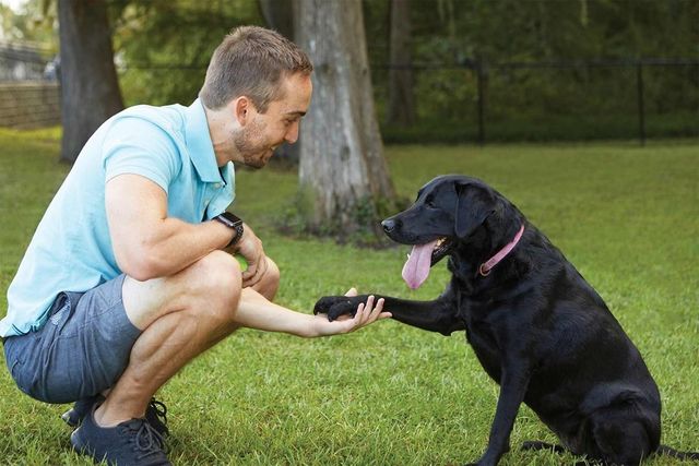 12401 Barkley Cove Drive, Texas City, TX 77591