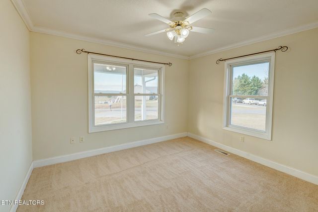 1002 Dawning Rd, Newport, TN 37821