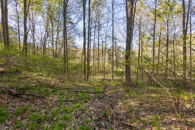 52933 68th Avenue, Lawrence Twp, MI 49064