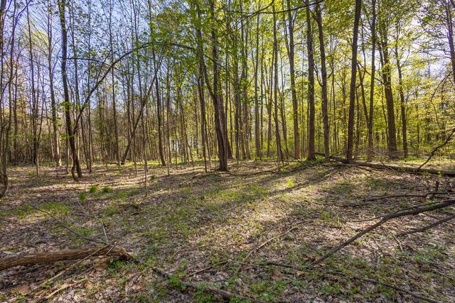 52933 68th Avenue, Lawrence Twp, MI 49064