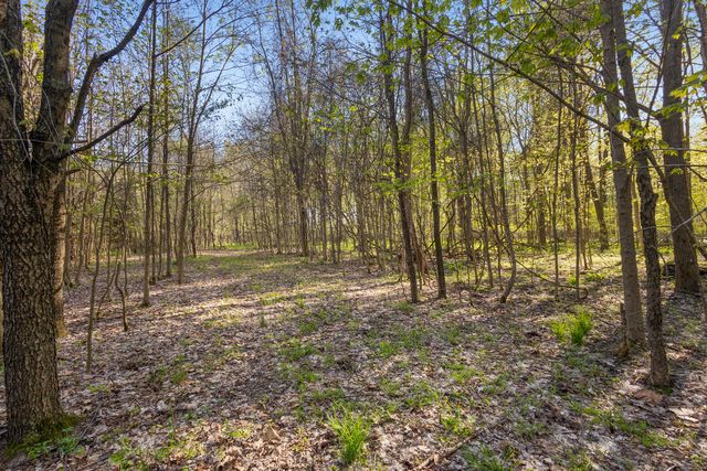 52933 68th Avenue, Lawrence Twp, MI 49064