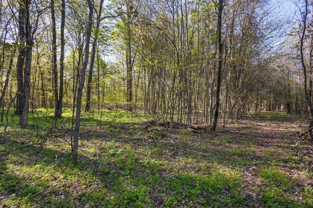 52933 68th Avenue, Lawrence Twp, MI 49064