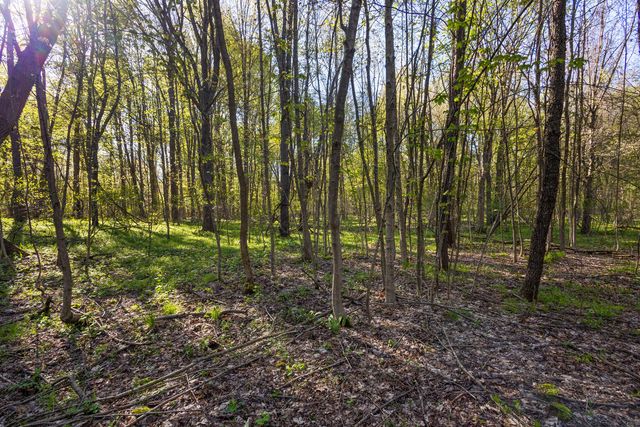 52933 68th Avenue, Lawrence Twp, MI 49064