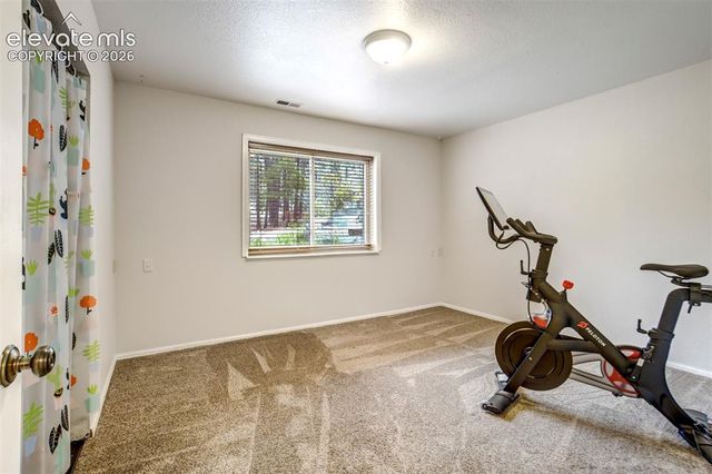 1155 Becky Drive, Colorado Springs, CO 80921