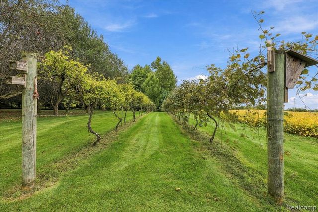 11178 N Belsay Road, Clio, MI 48420