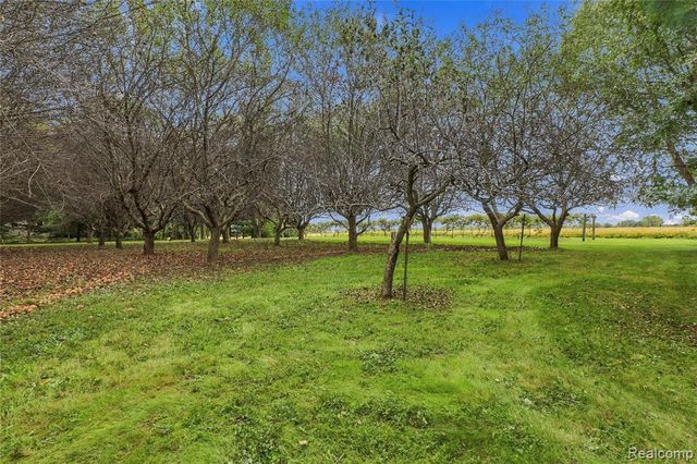 11178 N Belsay Road, Clio, MI 48420