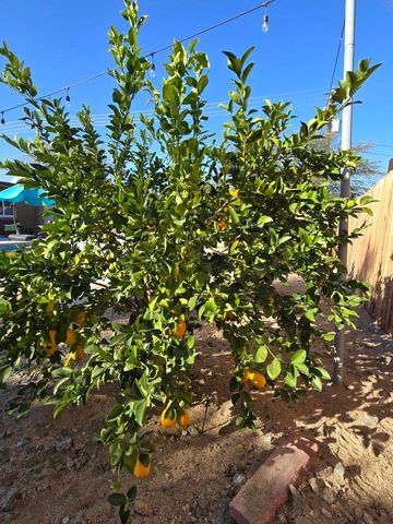 68579 E Street, Cathedral City, CA 92234