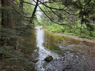 192 Pingree Park Lane # 4, Londonderry, VT 05148