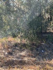 TBD LOCUST PASS LOOP, Ocala, FL 34472
