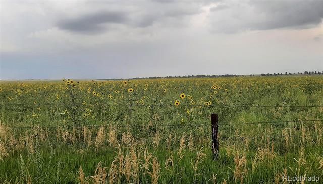 21545 Elk Meadows Circle, Elbert, CO 80106