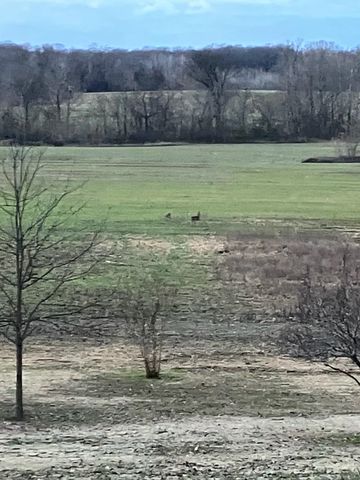 157 JIMMIE LEE CV, Munford, TN 38058