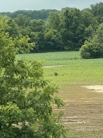 157 JIMMIE LEE CV, Munford, TN 38058