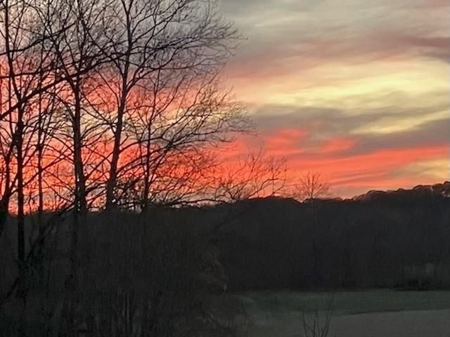 157 JIMMIE LEE CV, Munford, TN 38058