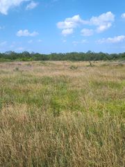 49 BOREN PRIVATE RD, Wortham, TX 76693