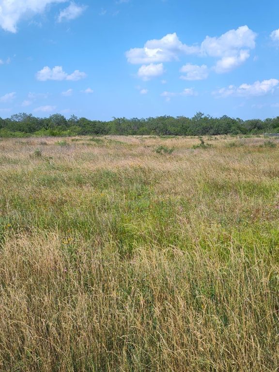 49 BOREN PRIVATE RD, Wortham, TX 76693