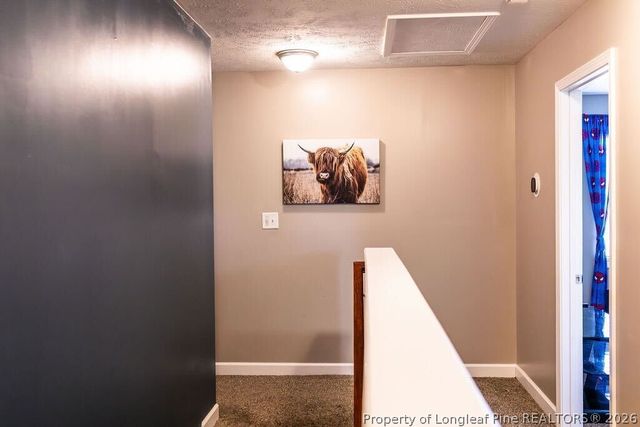 210 McGougan Road, Lumber Bridge, NC 28357