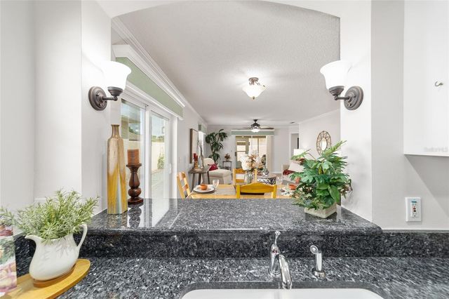 2007 RIOS COURT, The Villages, FL 32159