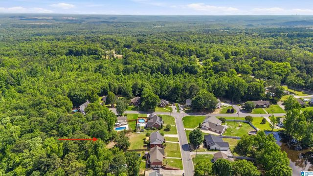 9605 KOURTNY WAY, Warrior, AL 35180