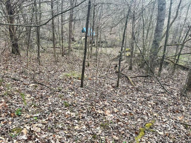 465 Old Monterey Road, Owenton, KY 40359