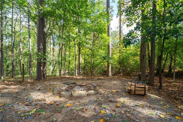 290 Sadler Dr, Douglasville, GA 30134