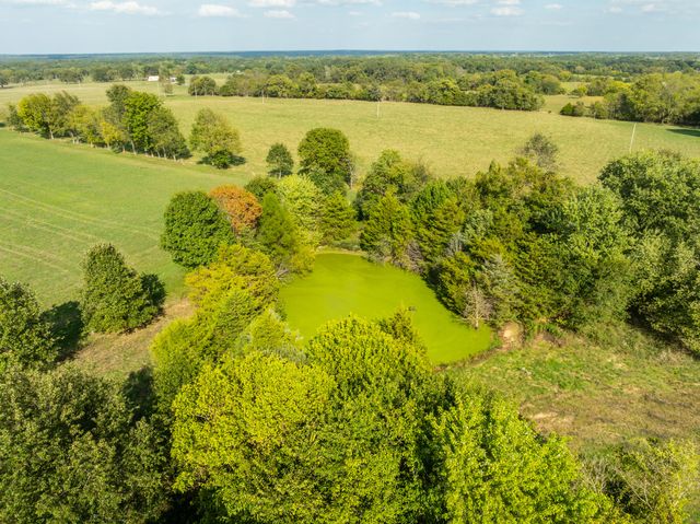 2113 Greene Road, Sparta, MO 65753