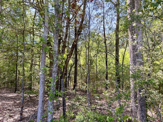 01 Lane Drive, Lufkin, TX 75904