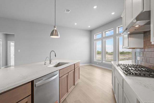 201 Desert Bloom, San Antonio, TX 78253