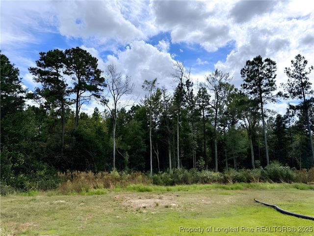 742 Susie Circle, Cameron, NC 28326