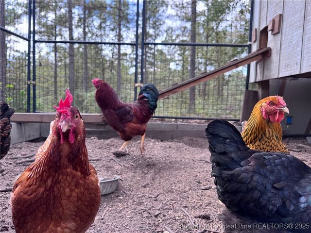 742 Susie Circle, Cameron, NC 28326