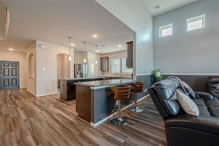 31510 Sandpiper Creek Drive, Hockley, TX 77447