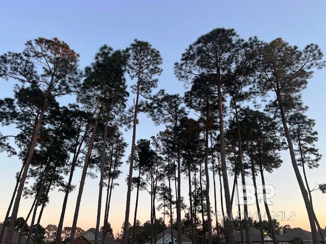 2225 Hogan Drive, Gulf Shores, AL 36542
