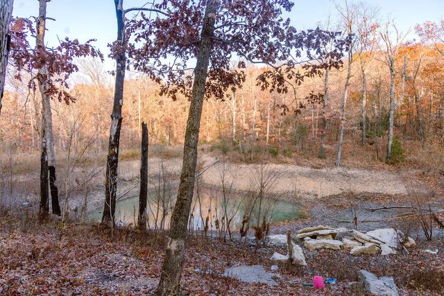 221 Morning Glory Drive, Marshfield, MO 65706