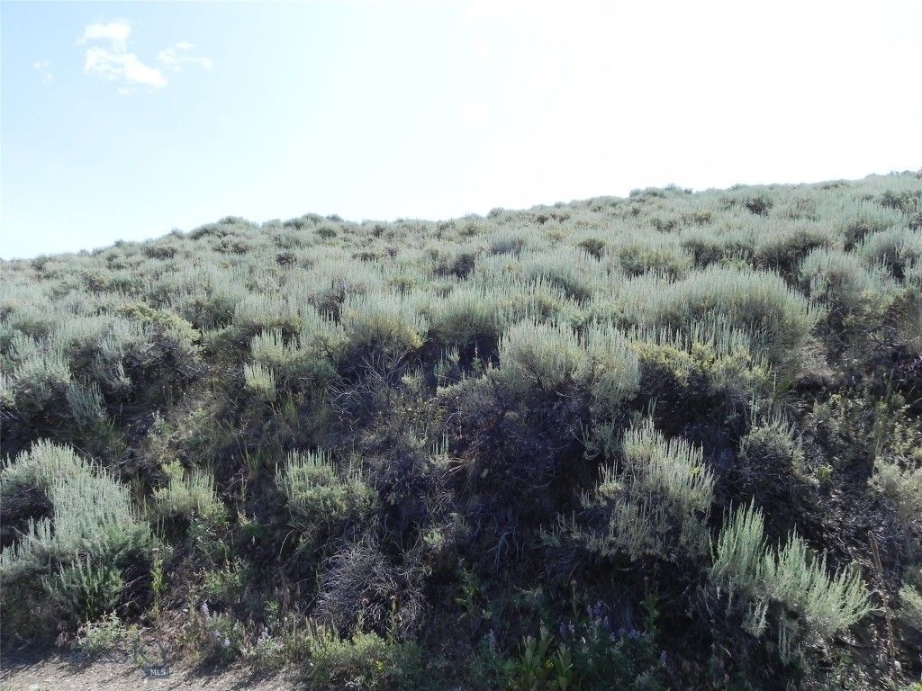 Lot 358 Pole Gulch, Three Forks, MT 59752 photo 4