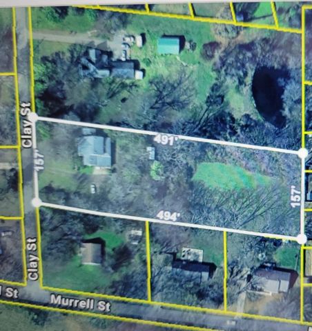 355 CLAY ST, Oakland, TN 38060