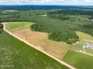 Parcel B J. Runnels Road, Petal, MS 39465