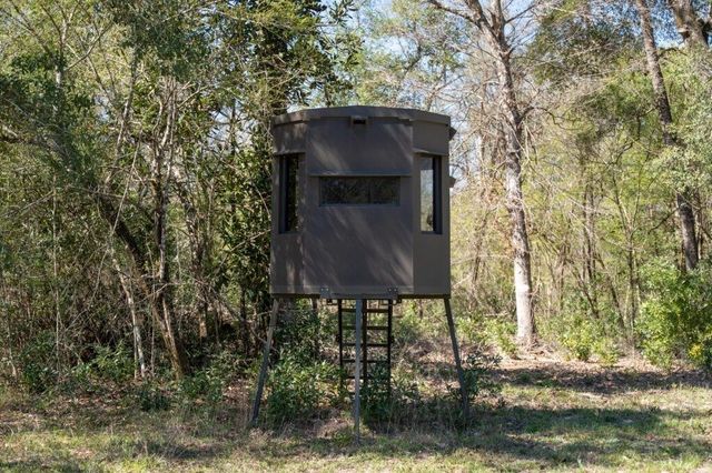 2489 Fm 256 S, Woodville, TX 75979