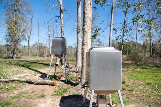 2489 Fm 256 S, Woodville, TX 75979