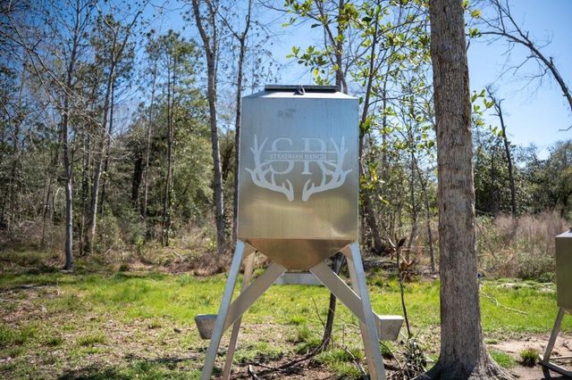 2489 Fm 256 S, Woodville, TX 75979