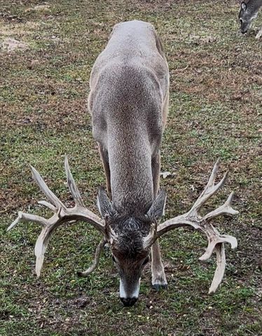 2489 Fm 256 S, Woodville, TX 75979