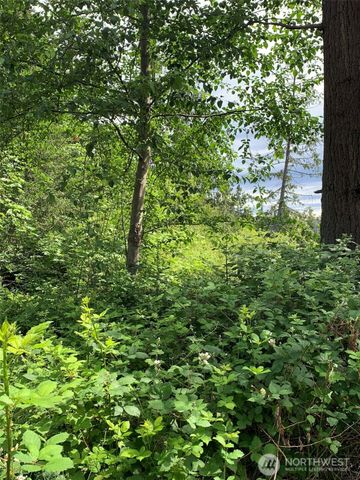 0 84th Dr NW, Stanwood, WA 98292