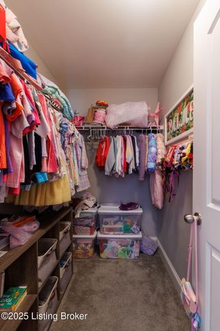 18107 Brightleaf Pl, Fisherville, KY 40023