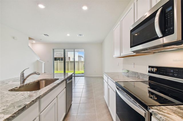17253 AMBER ASPEN WAY, Land O Lakes, FL 34638