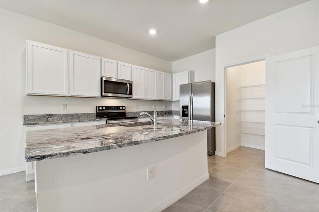 17253 AMBER ASPEN WAY, Land O Lakes, FL 34638