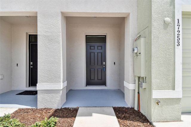 17253 AMBER ASPEN WAY, Land O Lakes, FL 34638